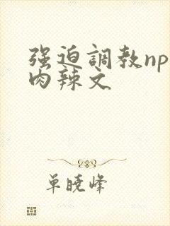 强迫调教np纯肉辣文封面