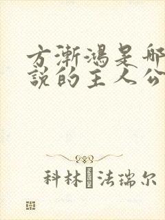 方渐鸿是哪部小说的主人公封面