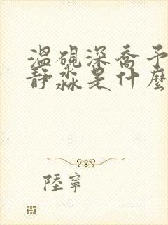 温砚深乔予安沈静淼是什么小说