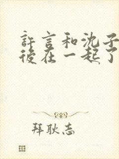 许言和沈子畅最后在一起了吗