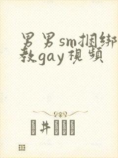男男sm捆绑调教gay视频