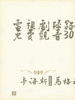 电视剧归路全集免费观看30集完整版