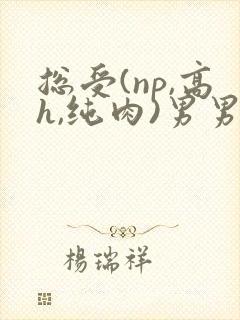 总受(np,高h,纯肉)男男文