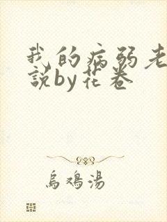 我的病弱老婆小说by花卷