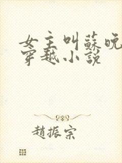 女主叫苏晚晚的穿越小说