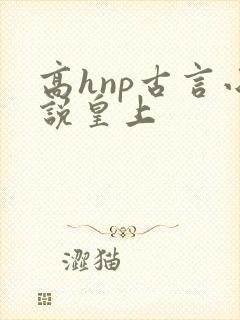 高hnp古言小说皇上