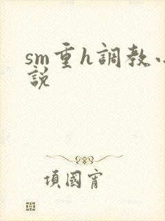 sm重h调教小说