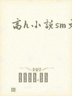 高h小说sm文