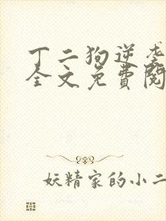 丁二狗逆袭人生全文免费阅读