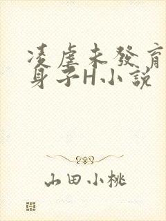 凌虐未发育的小身子H小说封面