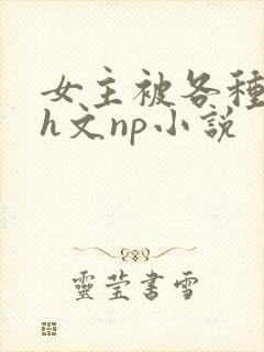 女主被各种调教h文np小说