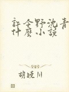 许今野沈青棠是什么小说