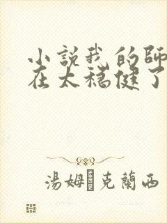 小说我的师兄实在太稳健了封面