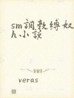 sm调教缚奴高h小说