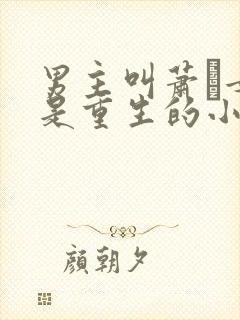 男主叫萧玦女主是重生的小说