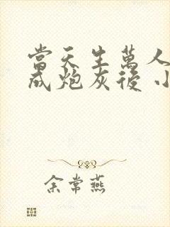 当天生万人迷穿成炮灰后 小说封面