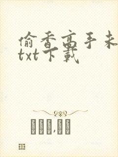 偷香高手未删减txt下载封面