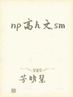 np高h文sm