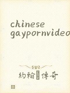 chinesegaypornvideo
