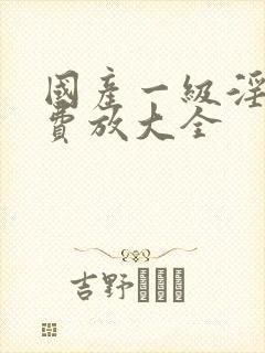 国产一级淫片免费放大全