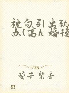 被勾引出轨怎么办(高h 婚后np