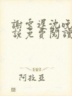 谢云迟沈晚黎小说免费阅读最新章节封面