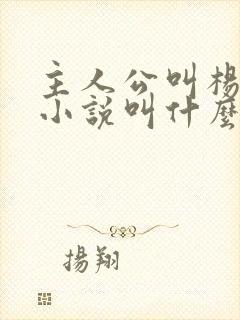 主人公叫杨辰的小说叫什么名字