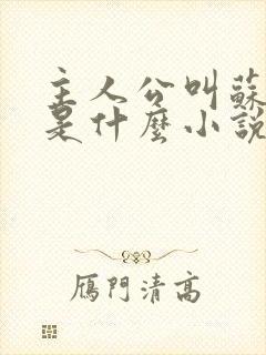 主人公叫苏洛的是什么小说