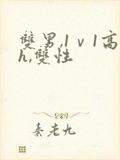 双男,1ⅴ1高h,双性