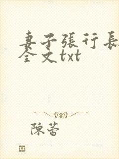 妻子张行长升职全文txt封面