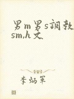 男m男s调教(sm,h文