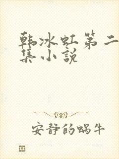韩冰虹第二部续集小说