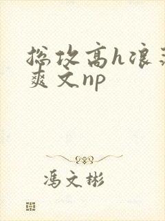 总攻高h浪荡肉爽文np封面