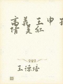 高义 王申 孙倩 美红封面