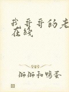 我哥哥的老婆2在线