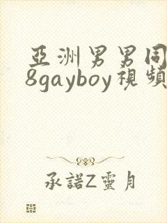 亚洲男男同性18gayboy视频