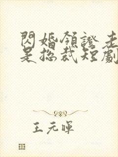 闪婚领证老公竟是总裁短剧