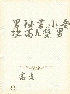 男秘书小受引诱攻高h双男