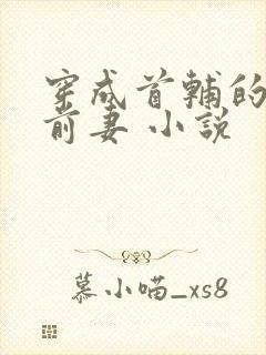 穿成首辅的炮灰前妻 小说