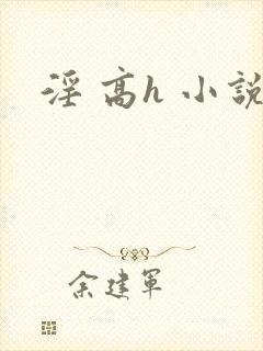 淫 高h 小说