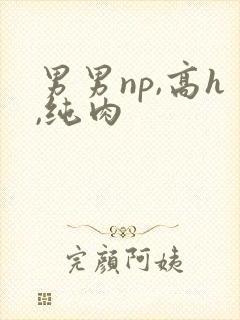 男男np,高h,纯肉封面