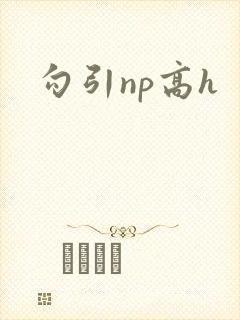 勾引np高h封面