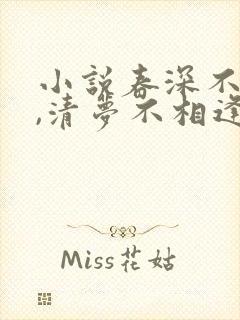 小说春深不归客,清梦不相逢