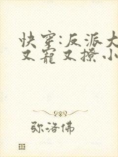 快穿:反派大佬又宠又撩小说封面