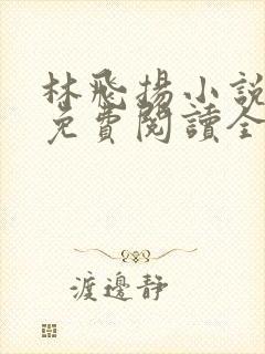 林飞扬小说全集免费阅读全文