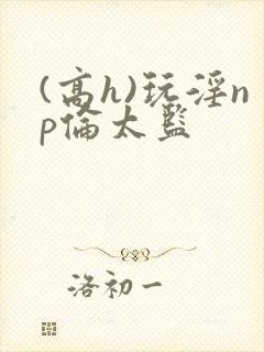 (高h)玩淫np伦太监