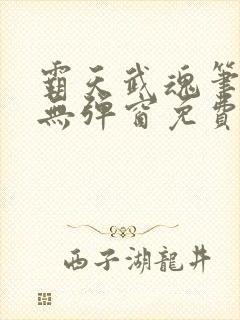 霸天武魂笔趣阁无弹窗免费阅读