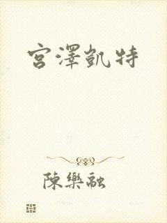 宫泽凯特封面