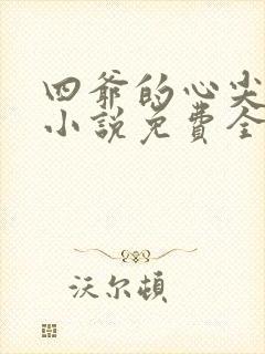 四爷的心尖宠妃小说免费全文阅读