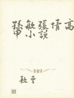 孙敏张倩高义王申小说封面